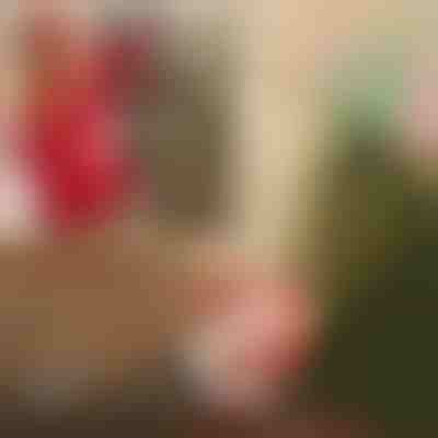 Babbo Natale con il paracadute | SANTASWING