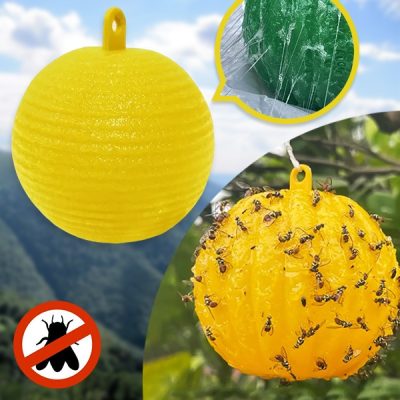 Trappole per mosche appese 6 pezzi | BUGIORB