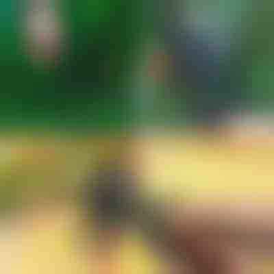 Forbici Professionali 2-in-1 per Potatura e Innesto | MASTERCUT